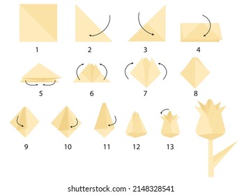 How Make Paper Flower Step By Stock Vector (Royalty Free) 2148328541 ...