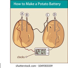 how to make a potato battery vector illustration