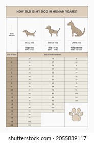 How old is my dog in human years? Age calculator, Infographic vector illustration, EPS 10 