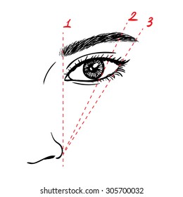 How To Paint The Eyebrows. Vector Trendy Makeup Scheme.