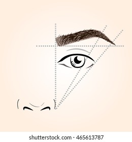 How to paint the eyebrows. Vector trendy makeup brows scheme.