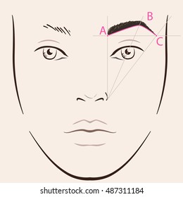 How to paint the eyebrows. Vector trendy makeup brows scheme.