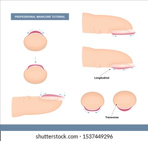 How to Paint Nails Professionally. Tips and Tricks. Manicure Tutorial. Vector Illustration