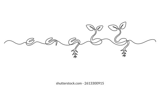 How a plant grows step by step. Stages of plant growth. Seed development. One line drawing. Vector illustration