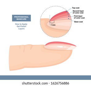 How to Properly Apply Gel Polish. Correct Layer Order. Professional Manicure Tutorial. Vector illustration