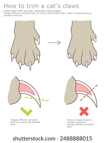 How to safety trim cat claws. Right and wrong. Vector illustration. 