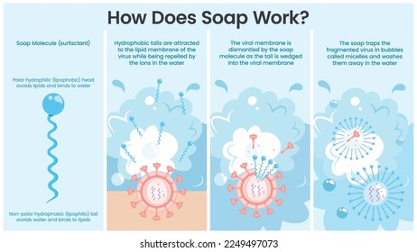 Cómo funciona Soap Ilustración vectorial infográfica