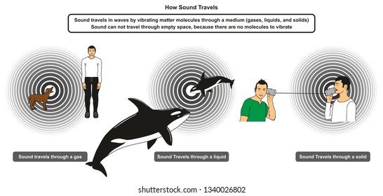 How Sound Travels infographic diagram showing the mechanical waves travel in different mediums including gas liquid and solid for physics science education