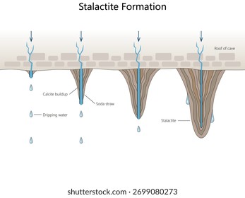 how stalactites form from dripping water and calcite buildup on the ceiling of limestone caves diagram hand drawn schematic vector. Science educational illustration
