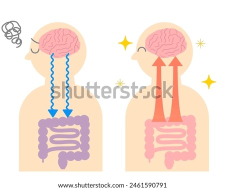 How stress causes stomach aches, and the relationship between the brain and the gut. Illustration of the gut-brain connection