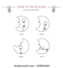  How to taste wine - Vector concept in trendy linear style - Icon set - Wine  tasting