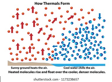 Cómo se forman los térmicos. Diagrama científico que muestra cómo reaccionan las moléculas durante el calentamiento y la refrigeración por tierra o agua.