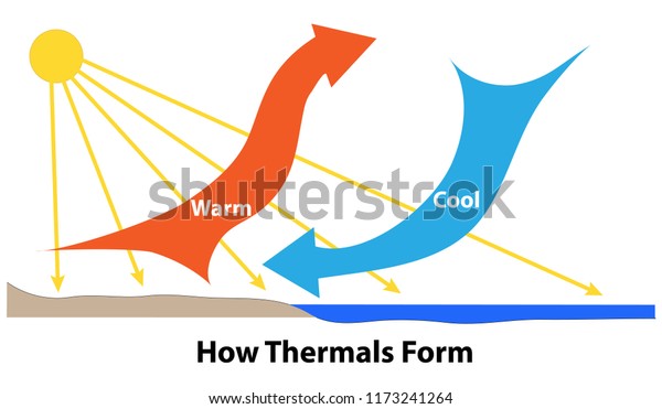 How Thermals Form Sunlight Heats Land Stock Vector (Royalty Free ...