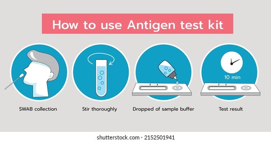 How to use Antigen test kit vector illustration on gray background.