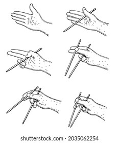 Cómo usar la instrucción de palillos chinos o japoneses. Comer comida asiática con una guía de herramientas especial. Cartel de instrucciones para su negocio de restaurantes. Posición de la mano y el dedo. Vector de esbozo aislado 