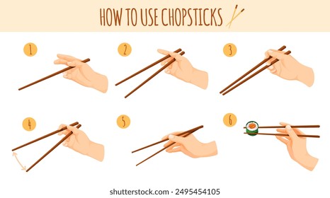 How use chopsticks. Hand uses japanese chopstick, finger gesture step instruction hold chinese stick for eating sushi asian food or korea dining, guide neat vector illustration authors graphics