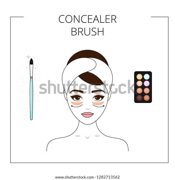 How Use Concealer Brush Concealer Palette Stock Vector (Royalty Free