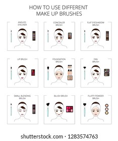 How to use different make up brushes, beautiful young girl, line art, vector illustration on white background.