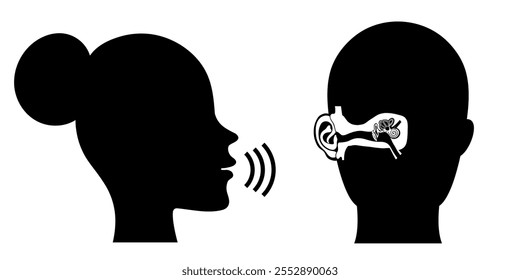 How we hear sounds Ear and brain Interaction