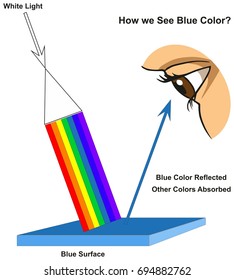 How we See Blue Color infographic diagram showing visible spectrum light on surface and colors reflected or absorbed according to its color for physics science education