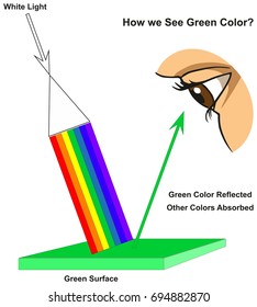 How we See Green Color infographic diagram showing visible spectrum light on surface and colors reflected or absorbed according to its color for physics science education