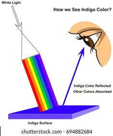 How we See Indigo Color infographic diagram showing visible spectrum light on surface and colors reflected or absorbed according to its color for physics science education