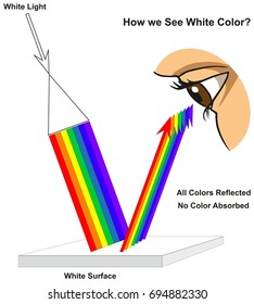 How we See White Color infographic diagram showing visible spectrum light on surface and colors reflected or absorbed according to its color for physics science education