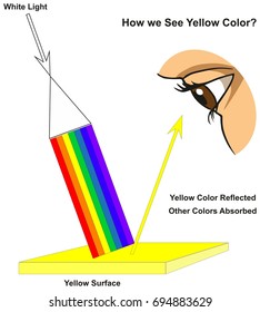 How we See Yellow Color infographic diagram showing visible spectrum light on surface and colors reflected or absorbed according to its color for physics science education