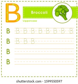 How to write Letter B uppercase vector children colorful ABC alphabet in vibrant colors. Tracing practice worksheet for kids learning English vocabulary and handwriting. Preschool Printing Practice