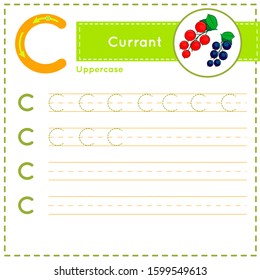 How to write Letter C uppercase vector children colorful ABC alphabet in vibrant colors. Tracing practice worksheet for kids learning English vocabulary and handwriting. Preschool Printing Practice