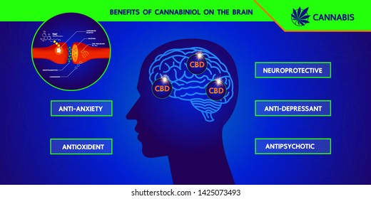How your brain makes its own cannabinoids and affects the human brain.