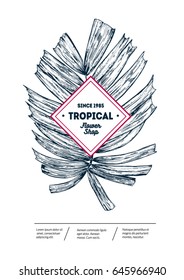 Howea. Tropical summer background. Botanical hand drawn illustration. Template design for sail, wedding save date, envelope, valentine, for party, holiday decor. Collection of sketch object.