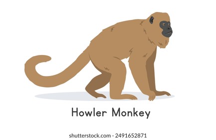 Howler monkey vector illustration, cartoon clipart character, animal in flat style. Wild animals, wild creatures, wildlife concept. Brown howler vector design isolated on white background