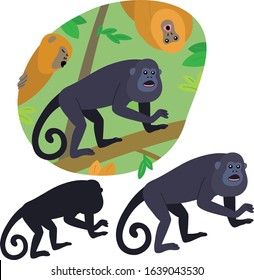 Howler monkeys walk in the jungle branches and roar