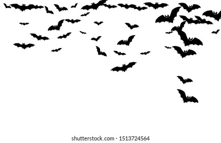 Howling black bats swarm isolated on white vector Halloween background. Flying fox night creatures illustration. Silhouettes of flying bats vampire Halloween symbols on white.