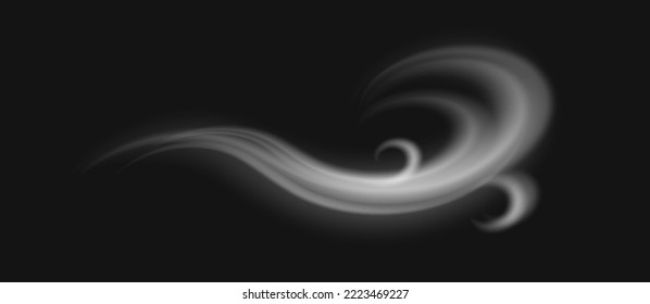 Howling and blowing wind, isolated swirls of smoke or fog. Weather conditions, swirling air current, gale or storm beginning. Vector in realistic style