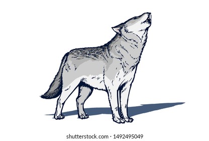 871 Timber wolf Stock Vectors, Images & Vector Art | Shutterstock