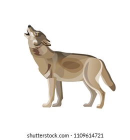 Howling gray timber wolf. Vector illustration isolated on white background