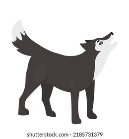 Howling wild wolf animal. Wildlife dog family member, forest predator vector illustration