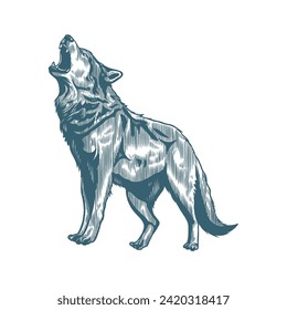 howling wolf with old engraving style	
