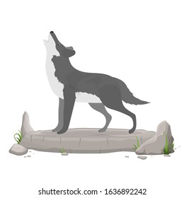 Howling wolf on a rock. Wolf isolated on a white background. Stylized illustration of a wolf. Polesie forest animal. Vector stock illustration.