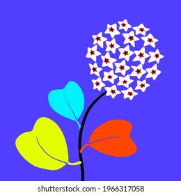 ilustración de flora colorida abstracta vectorial de flores de hoya