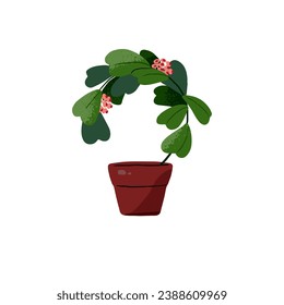 Hoya kerrii growing in pot. Flower, plant with hearts shape leaves in flowerpot. Houseplant with curved stem. Floral for interior decoration, home decor. Flat isolated vector illustration on white