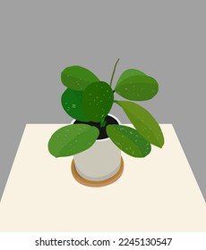 Hoya Obavata Splash Houseplant vector design 1