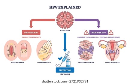 A visão geral do HPV ilustra os tipos de vírus, a seringa para vacina e o colo do útero, mostrando como verrugas de baixo risco causam e alto risco levam ao câncer, com orientação de prevenção. Diagrama de estrutura de tópicos
