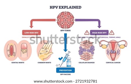 HPV explained overview illustrates virus types, vaccine syringe, and cervix, showing how low-risk cause warts and high-risk lead to cancer, with prevention guidance. Outline diagram