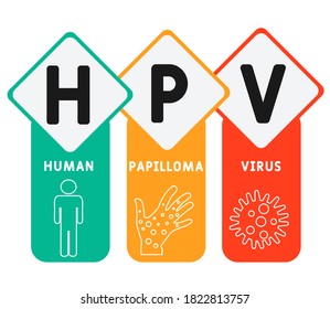 HPV - Human Papilloma Virus acronym, medical concept background. vector illustration concept with keywords and icons. lettering illustration with icons for web banner, flyer, landing page