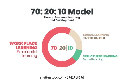 HR learning and development donut chart vector  diagram is illustrated 70:20:10 model infographic presentation has 70 percent job experiential learning, 20% informal social  and 10% formal learning 