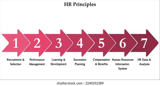 Principios de RRHH en una plantilla infográfica
