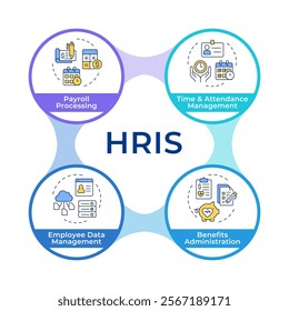 HRIS infographic circles flowchart. Human resource information system. Employees work for company. Visualization diagram with 4 steps. Circular info graphic editable